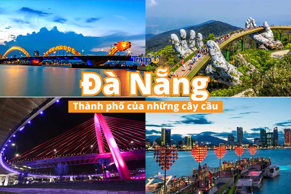 Thành phố của những cây cầu